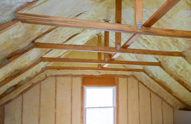 Best Insulation Maintenance and Repair in Riceville, TN