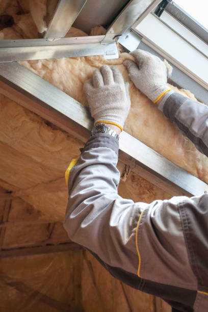 Best Commercial Insulation in Riceville, TN