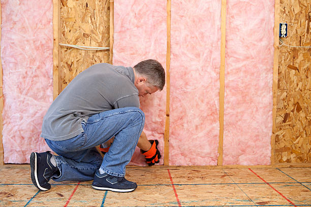 Best Residential Insulation in Riceville, TN